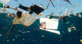 La Giornata dell’Ambiente