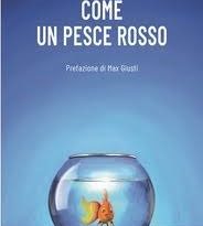 “Come un pesce rosso”…